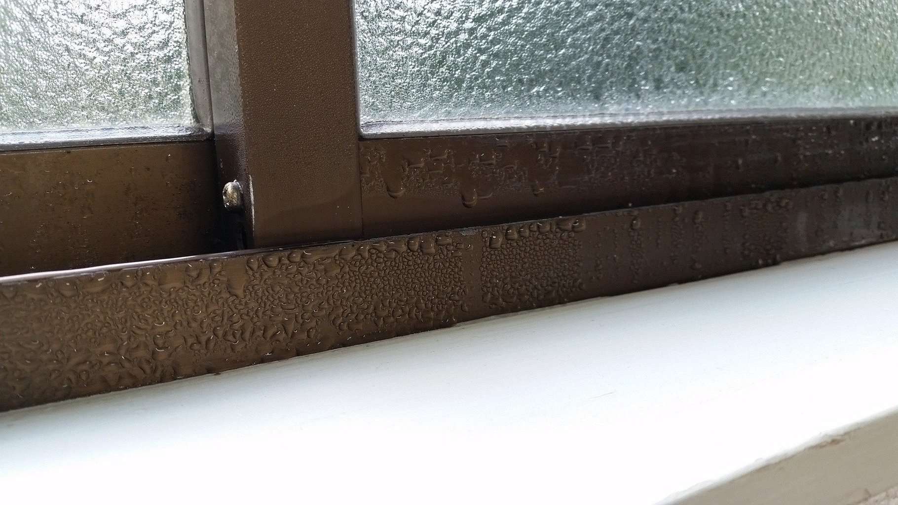 I stopped condensation forming on my windows with a £10 buy - it was a  lifesaver in winter and kept the heat in too